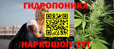 PSILOCYBIN Ставрополь