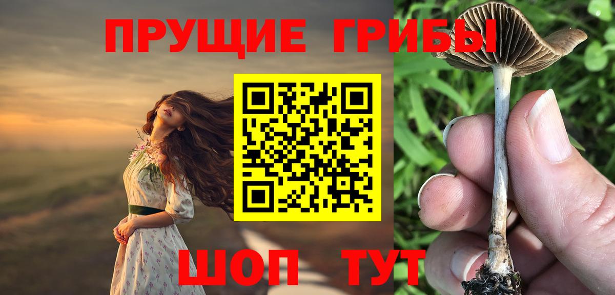 магазин продажи   Вход с VPN  Нальчик  Галлюциногенные грибы ЛСД 